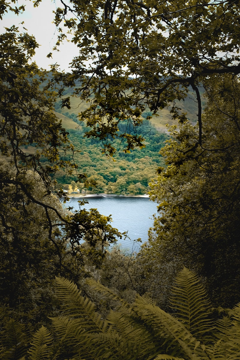 Bethand Deneme Bonusu ile İlk Bahis Fırsatı